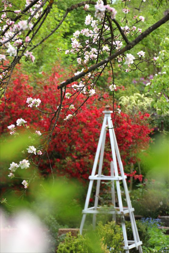 Rosenkavalier *Ein Obelisk aus Holz selbst gebaut* Rosen-Obelisk Bauanleitung DIY (Bildquelle: Living & Green)