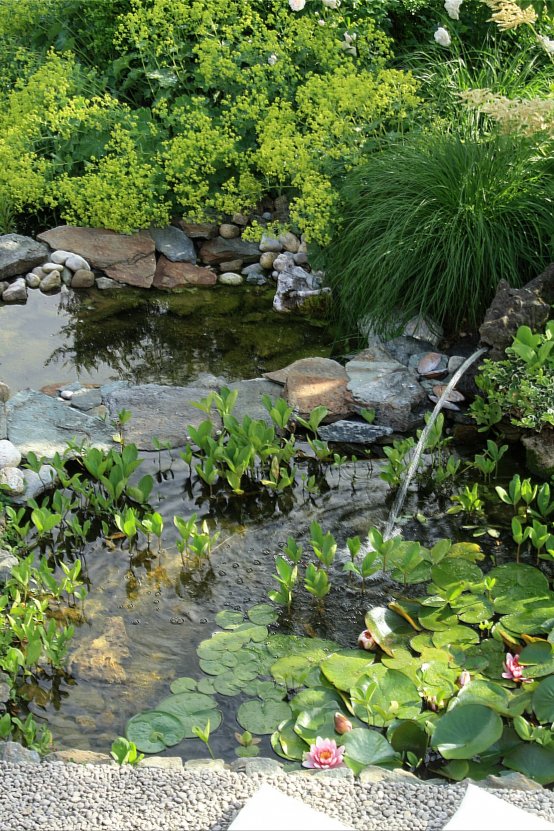 Der Gartenteich *Eine Entstehungsgeschichte* Gartenteich Bauanleitung (Bildquelle: Living & Green)