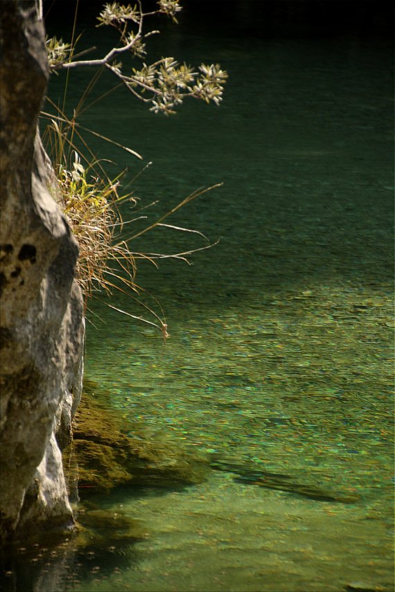 Das stille Tal Das stille Tal (Bildquelle: Living and Green)