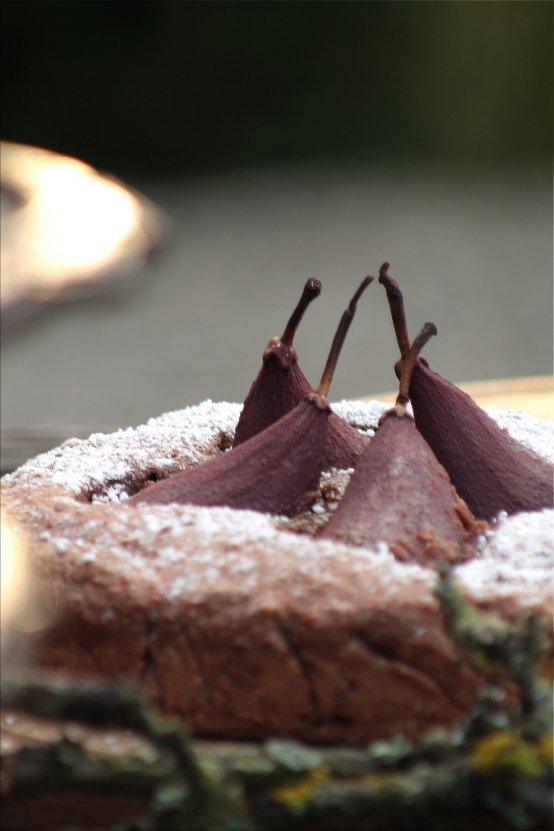 Herbst * Schokoladekuchen mit betrunkenen Birnen * Schokoladekuchen mit betrunkenen Birnen (Bildquelle: Living and Green)