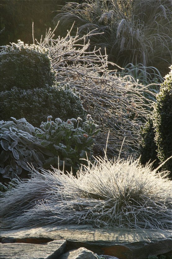 Gartenarbeit im November Gartenarbeit im November (Bildquelle: Living and Green)