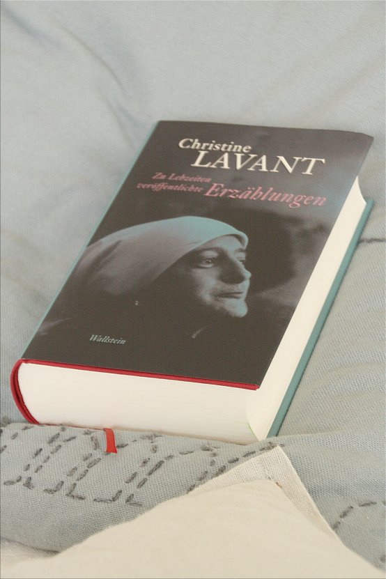 Stricken. Lesen. Schreiben *Christine Lavant* Christine Lavant, Erzählungen (Bildquelle: Living and Green)