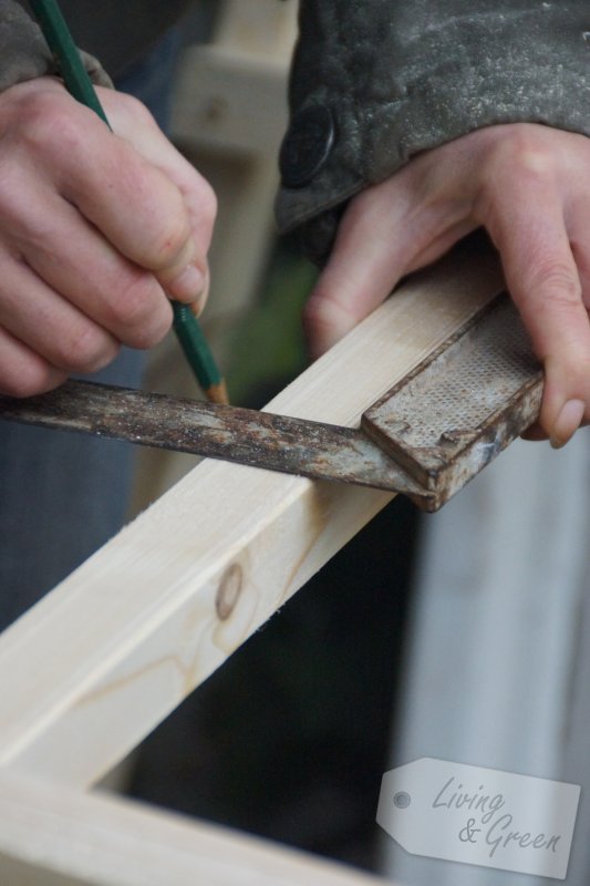 Rosenkavalier *Ein Obelisk aus Holz selbst gebaut* -