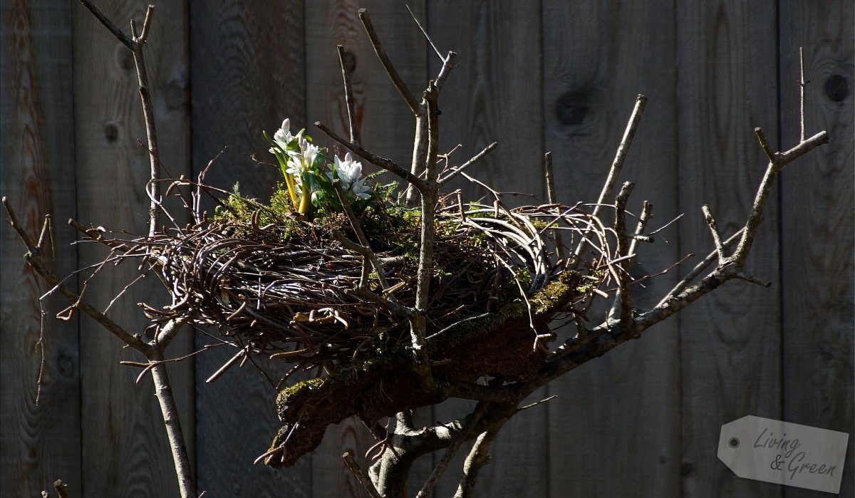 Ein Nest aus Birkenreisig - Nest aus Birkenreisig DIY