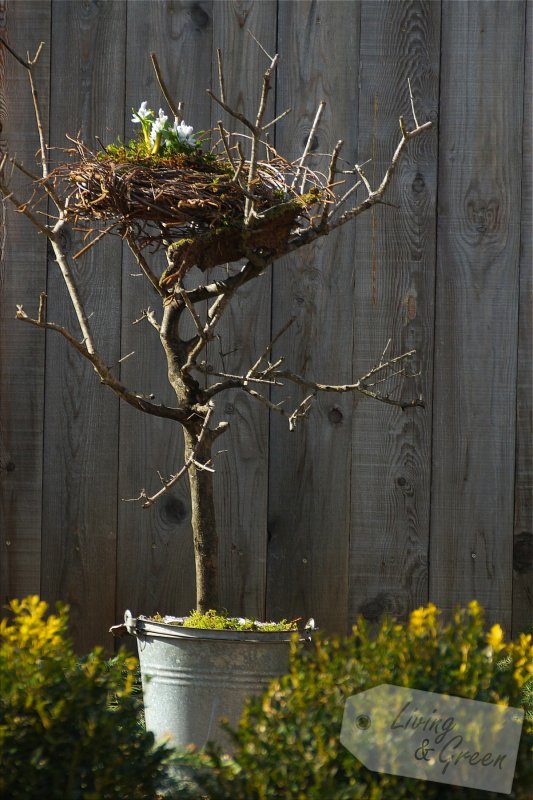 Ein Nest aus Birkenreisig - Nest aus Birkenreisig DIY