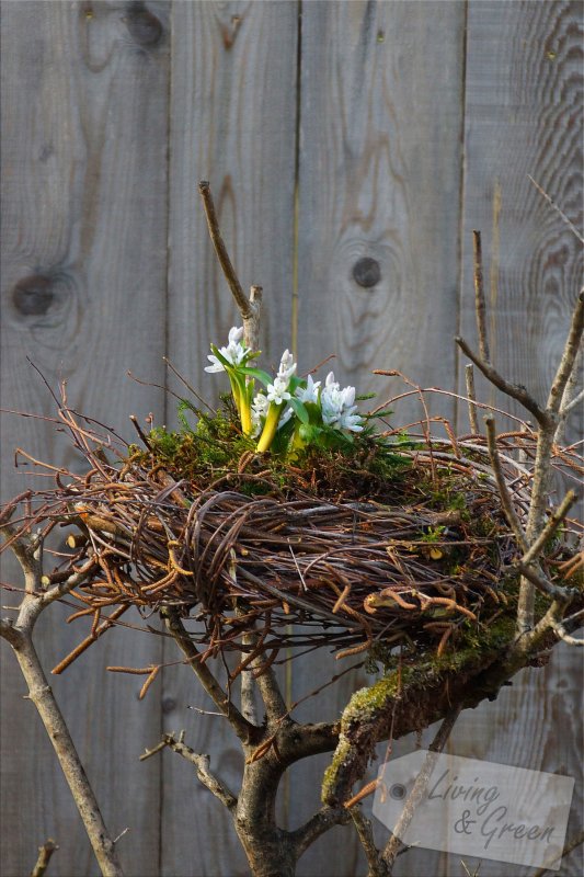 Ein Nest aus Birkenreisig - Nest aus Birkenreisig DIY