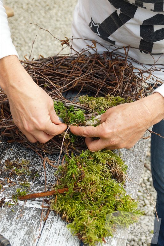 Ein Nest aus Birkenreisig - Nest aus Birkenreisig DIY