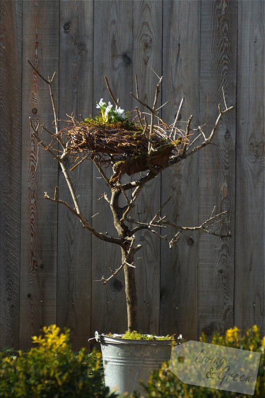 Ein Nest aus Birkenreisig - Nest aus Birkenreisig DIY