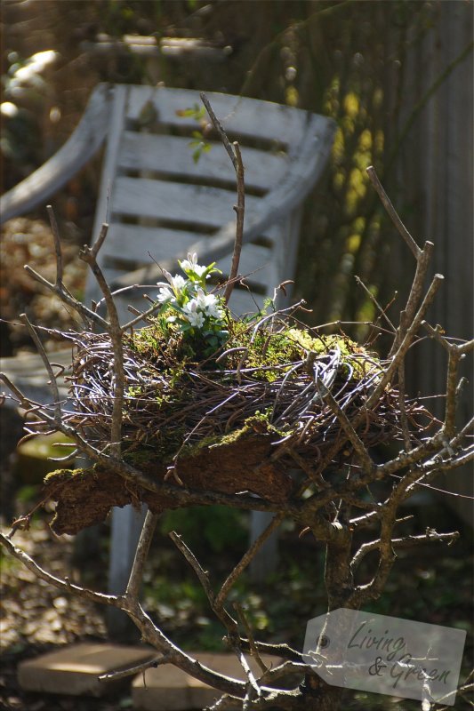 Ein Nest aus Birkenreisig - Nest aus Birkenreisig DIY