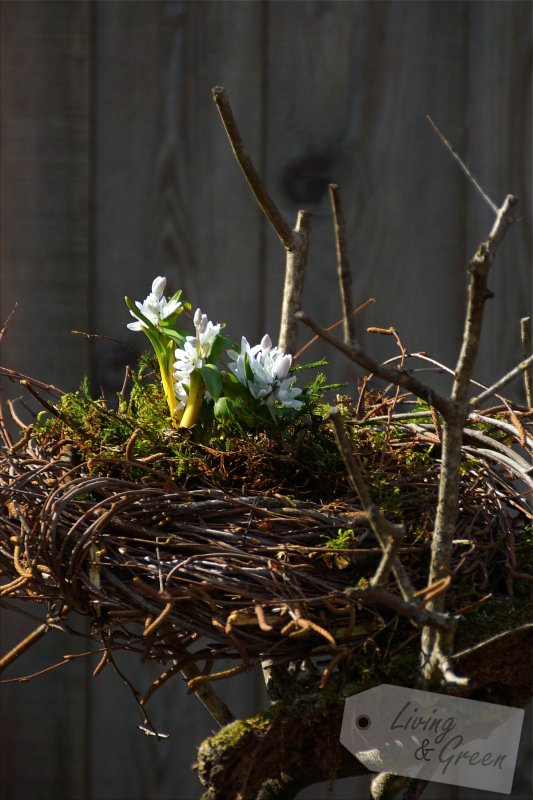 Ein Nest aus Birkenreisig - Nest aus Birkenreisig DIY