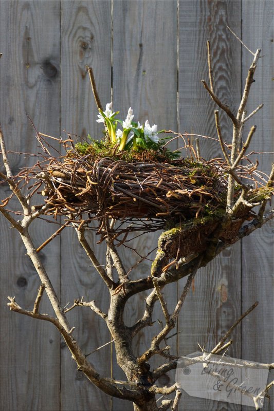 Ein Nest aus Birkenreisig - Nest aus Birkenreisig DIY