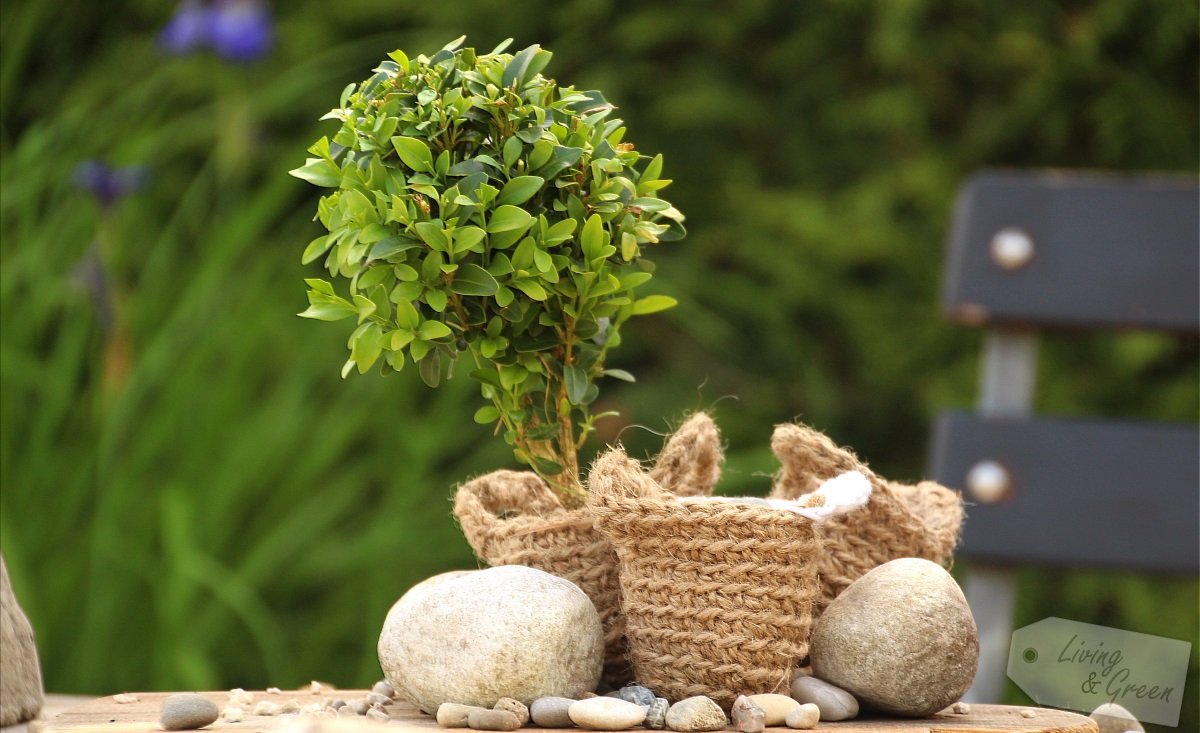 Basket Gardening *DIY* - Basket Gardening Häkelkorb DIY