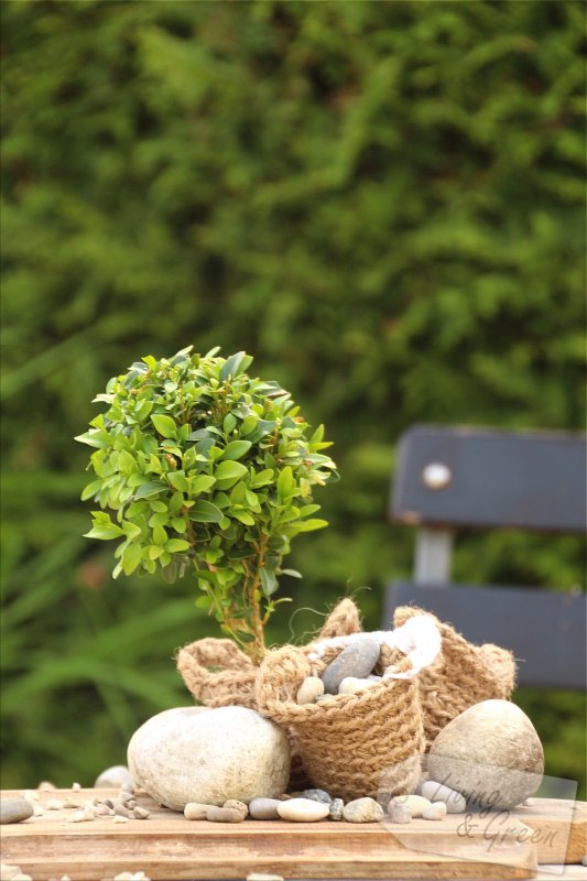 Basket Gardening *DIY* - Basket Gardening Häkelkorb DIY