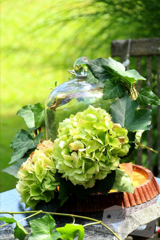 Wilder Wein *Basis-Kranz-DIY* - Sommerkranz Dekoration DIY