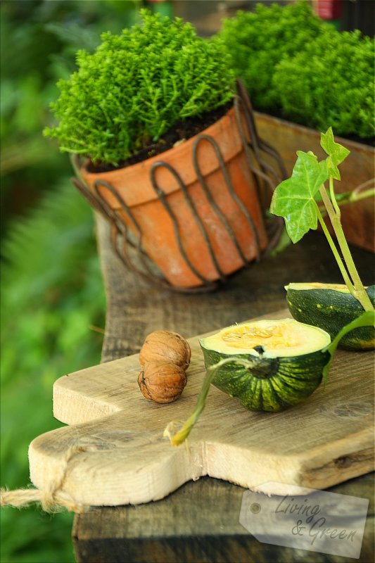 Altholzmanufaktur *Bretter-DIY* - Holzbrettchen DIY Anleitung