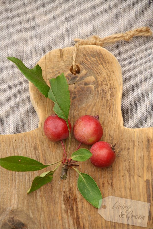 Altholzmanufaktur *Bretter-DIY* - Holzbrettchen DIY Anleitung