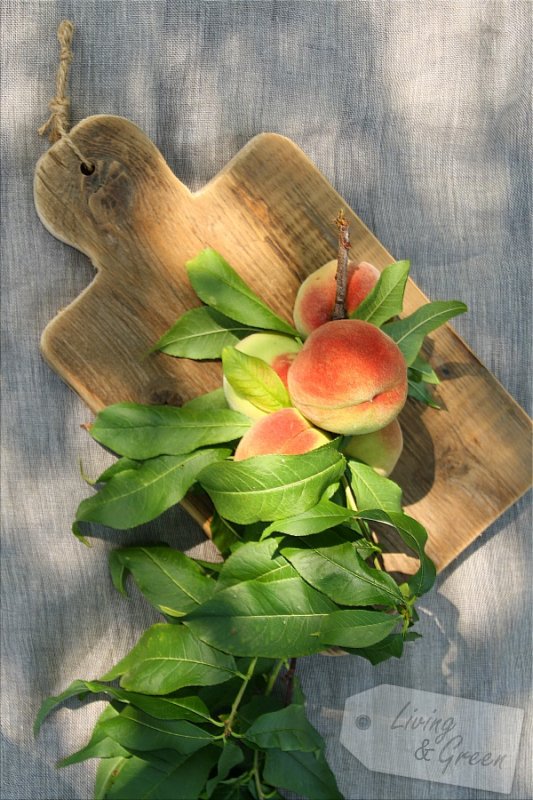 Altholzmanufaktur *Bretter-DIY* - Holzbrettchen DIY Anleitung