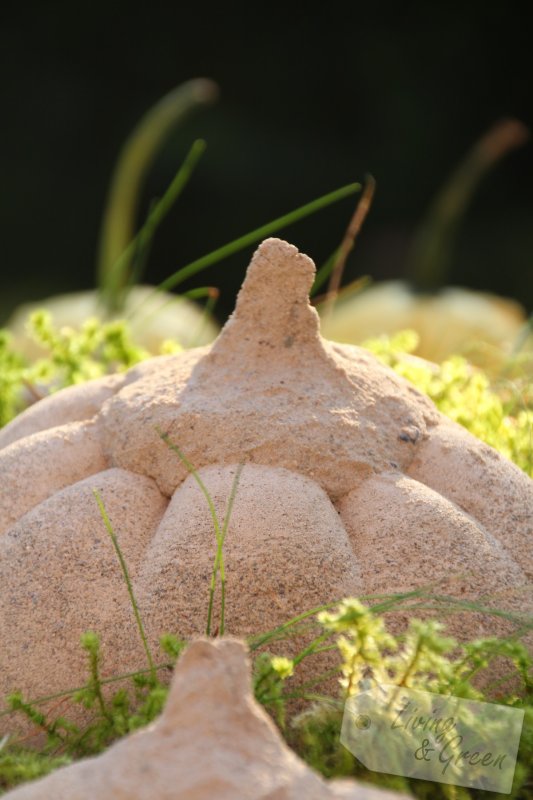Hello Pumpkin *Beton-Kürbis-DIY* - Kürbis aus Beton Anleitung