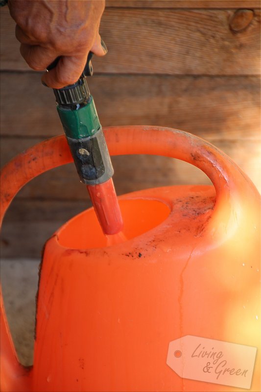 Hello Pumpkin *Beton-Kürbis-DIY* - Kürbis aus Beton Anleitung