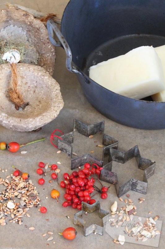 Energiekuchen für die Vögel DIY - Vogelfutter Kuchen Anleitung