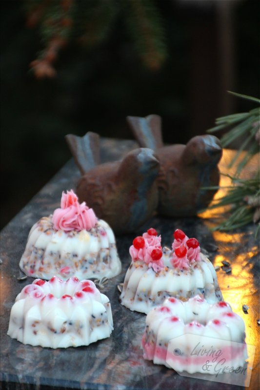 Energiekuchen für die Vögel DIY - Vogelfutter Kuchen Anleitung