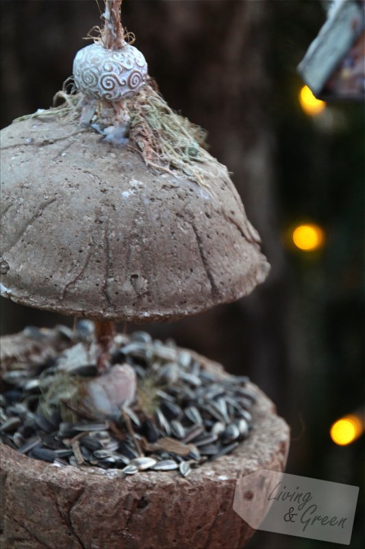 Energiekuchen für die Vögel DIY - Fettfutter für Vögel Anleitung