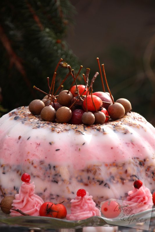 Energiekuchen für die Vögel DIY - Vogelfutter Kuchen Anleitung