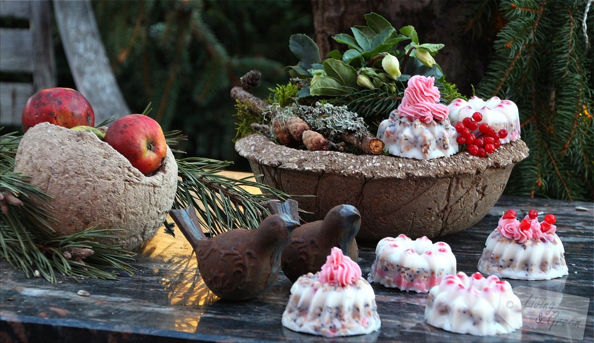 Energiekuchen für die Vögel DIY - Vogelfutter Kuchen Anleitung