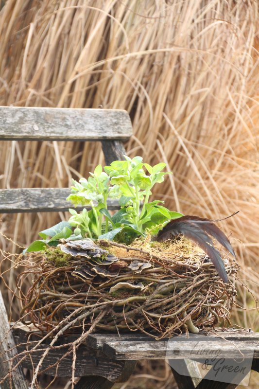 Vom Gartenschnitt zur Frühjahrsdeko - Nest aus Weide