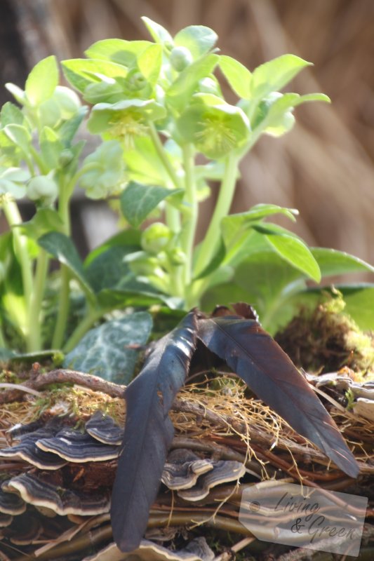 Vom Gartenschnitt zur Frühjahrsdeko - Nest aus Weide