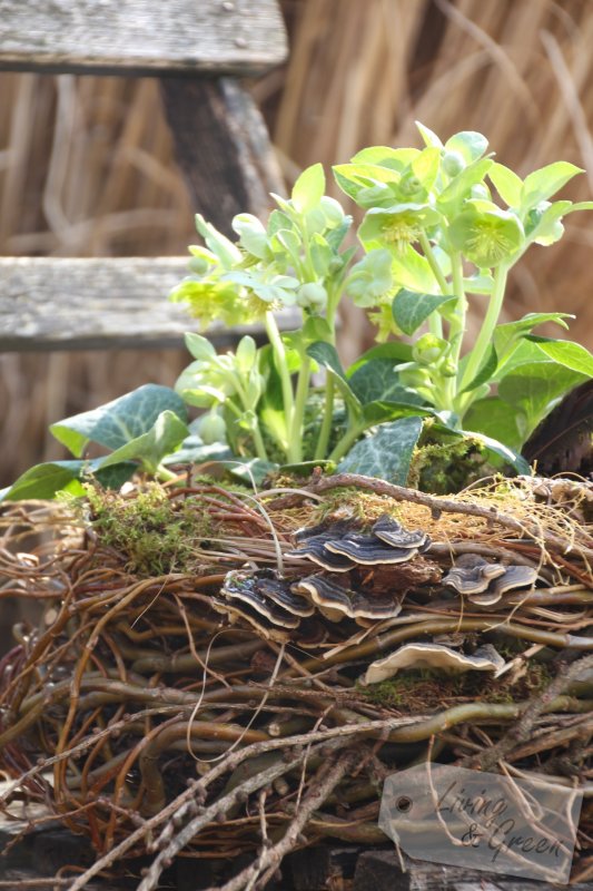 Vom Gartenschnitt zur Frühjahrsdeko - 