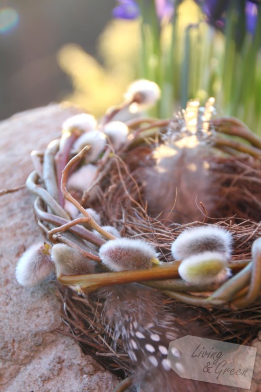 Vom Gartenschnitt zur Frühjahrsdeko - Frühlingsdeko für den Garten