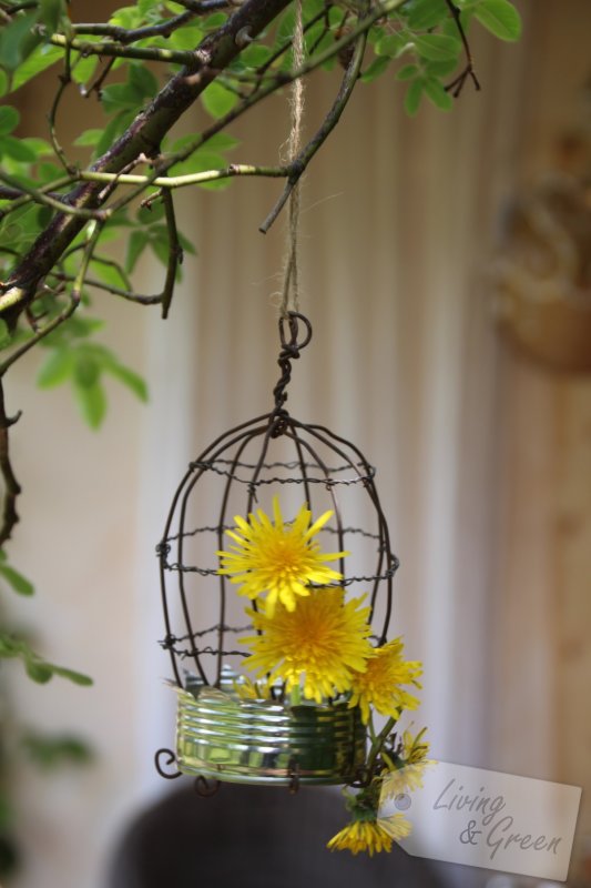 Birdcage DIY - Dosen Upcycling Vogelkäfig DIY