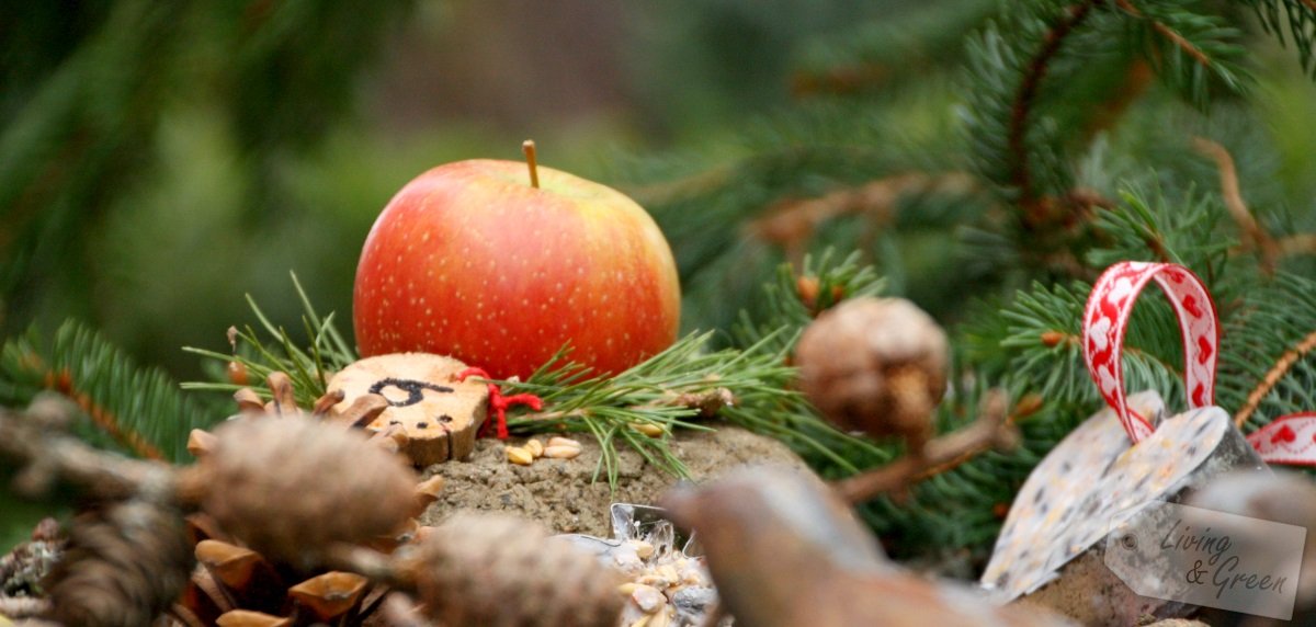 Adventskalender für die Vögel *DIY* - Adventskalender für den Garten zum Selbermachen