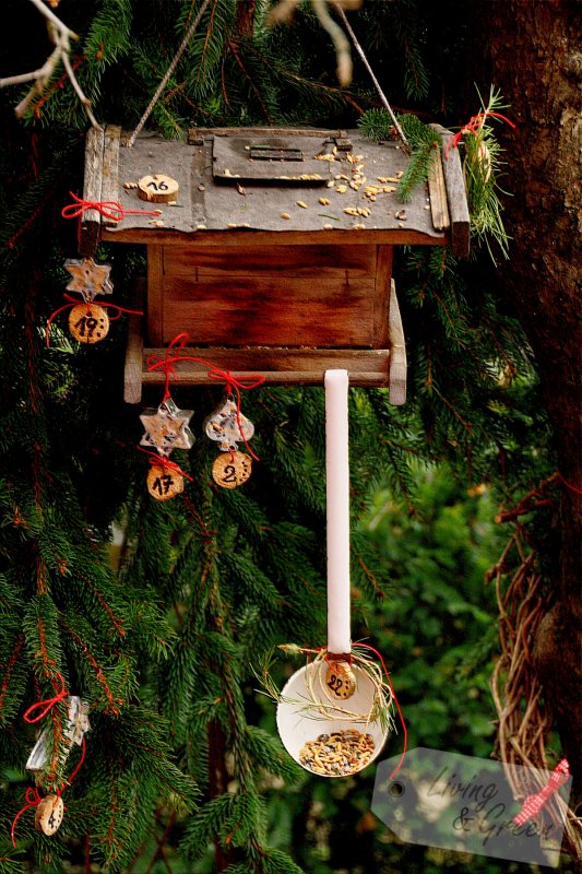 Adventskalender für die Vögel *DIY* - Adventskalender für den Garten zum Selbermachen