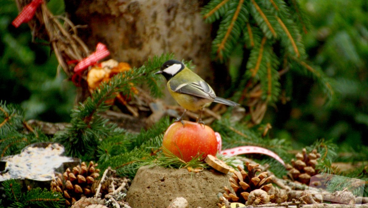 Adventskalender für die Vögel *DIY* - Adventskalender für den Garten zum Selbermachen