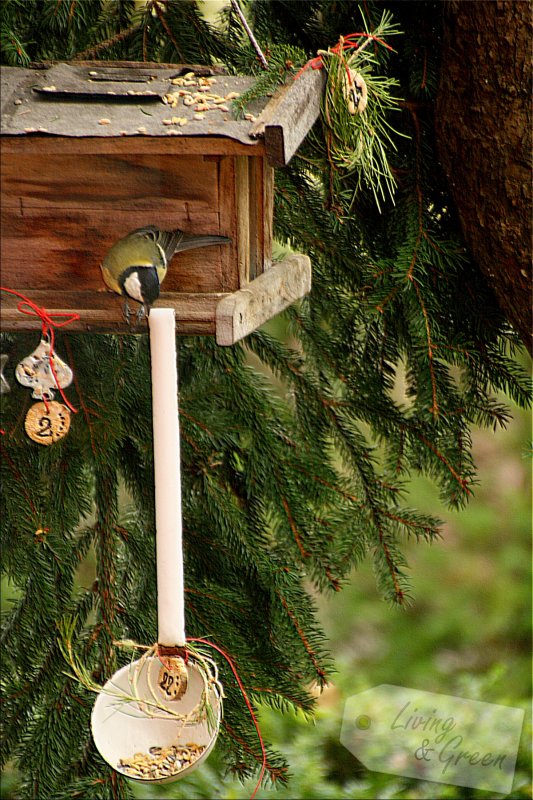 Adventskalender für die Vögel *DIY* - Adventskalender für den Garten zum Selbermachen