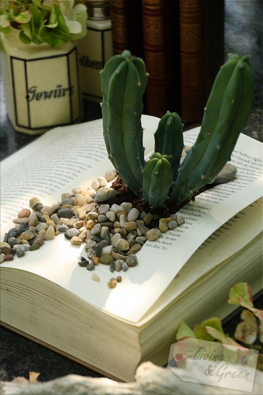 Blickfang *Book Planter DIY* - Book Planter DIY