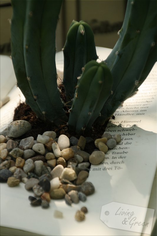 Blickfang *Book Planter DIY* - Book Planter DIY