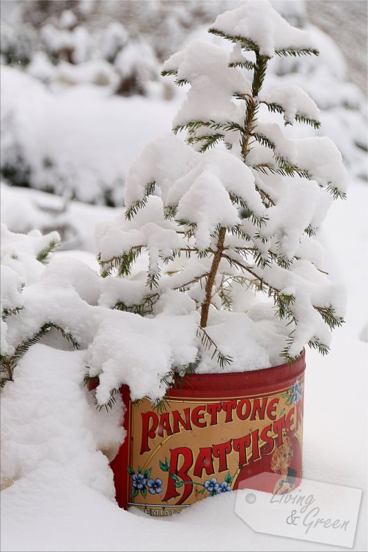 Keep warm and stay cool! *Handstulpen DIY* - Winter im Garten