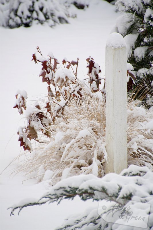 Keep warm and stay cool! *Handstulpen DIY* - Winter im Garten