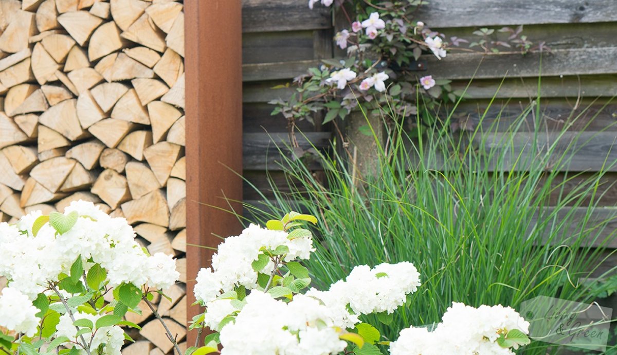 Schön versteckt *Sichtschutz im Garten* - Sichtschutz aus Cortenstahl und Holz