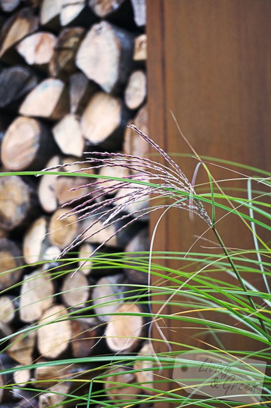 Schön versteckt *Sichtschutz im Garten* - Sichtschutz aus Cortenstahl und Holz