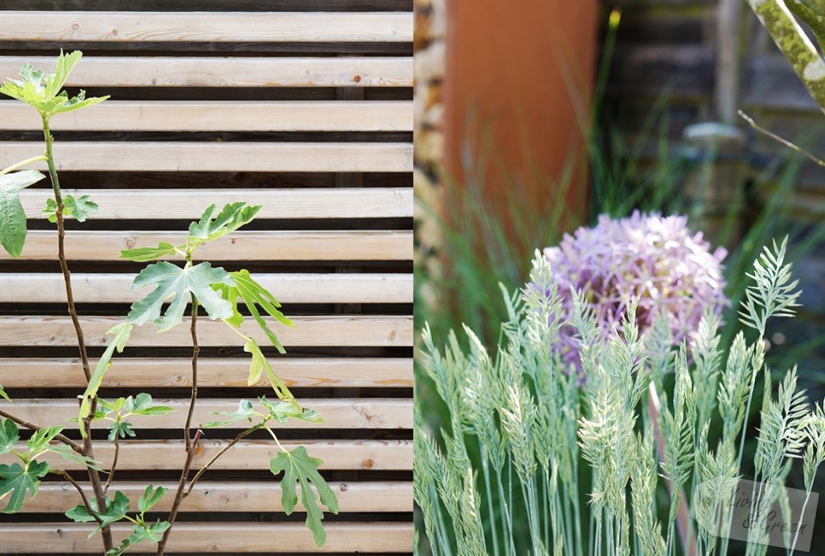Schön versteckt *Sichtschutz im Garten* - Sichtschutz aus Cortenstahl und Holz