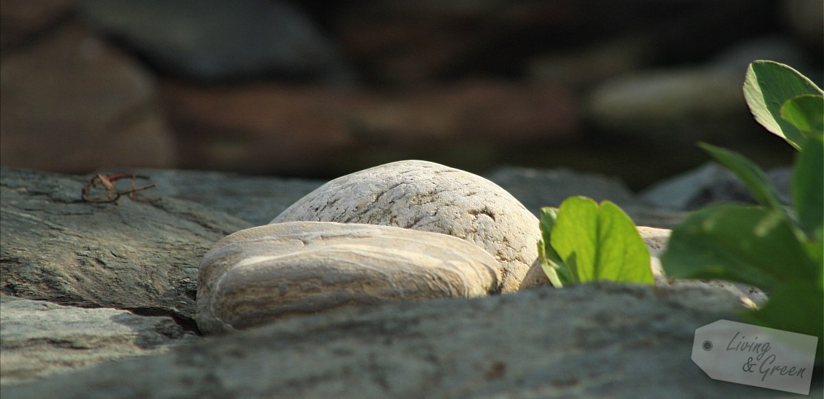 Der Gartenteich *Eine Entstehungsgeschichte* - Gartenteiche über vier Ebenen Bauanleitung