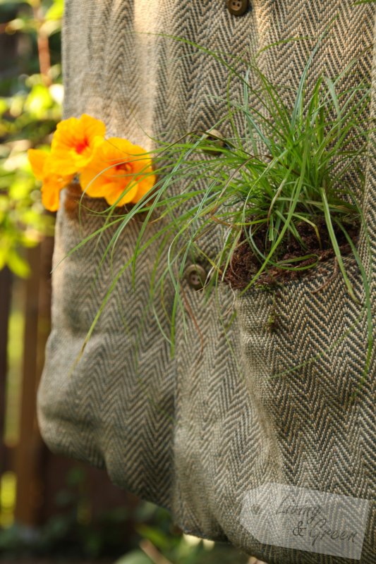 Sweet Little Details  - Herbstdekoration für den Garten