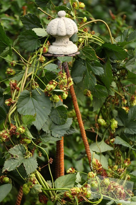 Sweet Little Details  - Herbstdekoration für den Garten