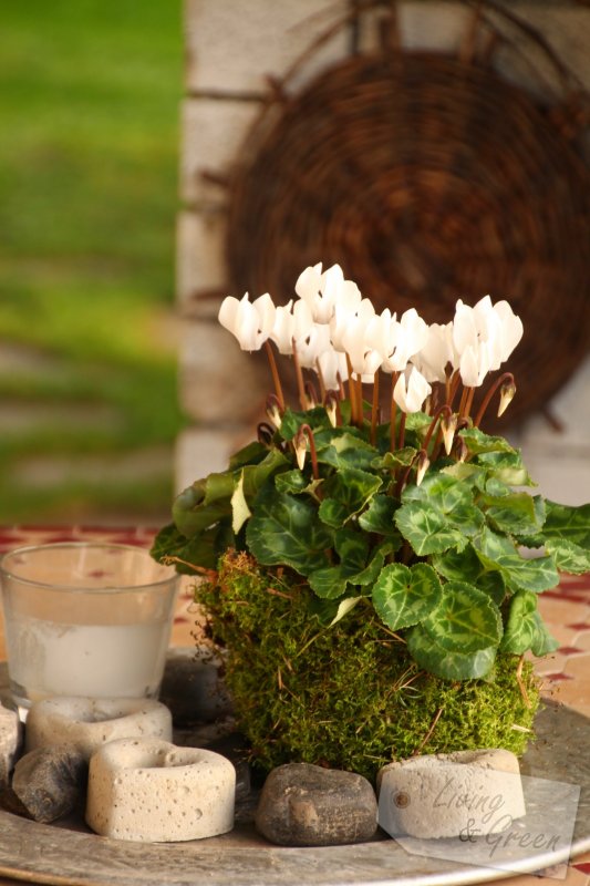 Sweet Little Details  - Herbstdekoration für den Garten