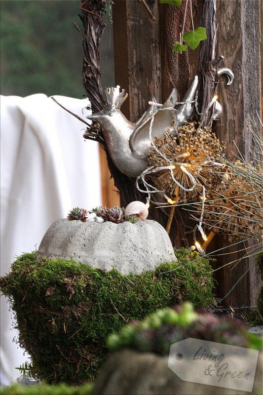 Früchte, Samen, Moos... *November im Garten* - Gartendekoration November