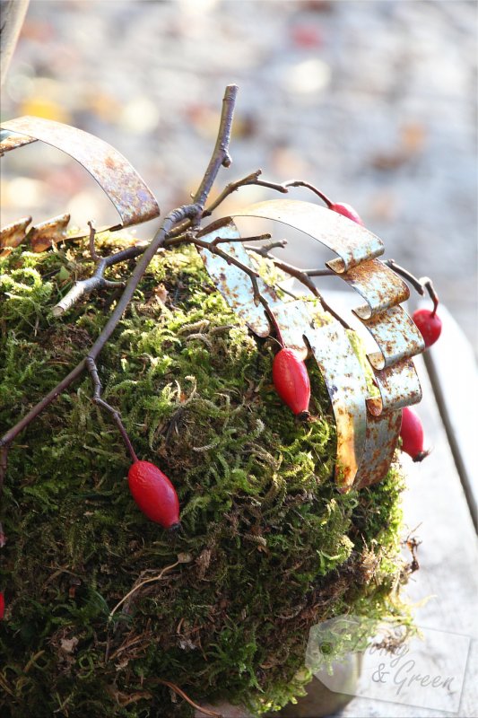 Früchte, Samen, Moos... *November im Garten* - Gartendekoration November